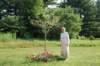 dsc_0217_small.jpg
