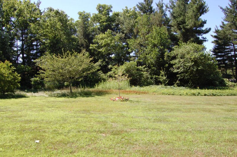 dsc_0258.jpg