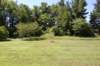 dsc_0258_small.jpg