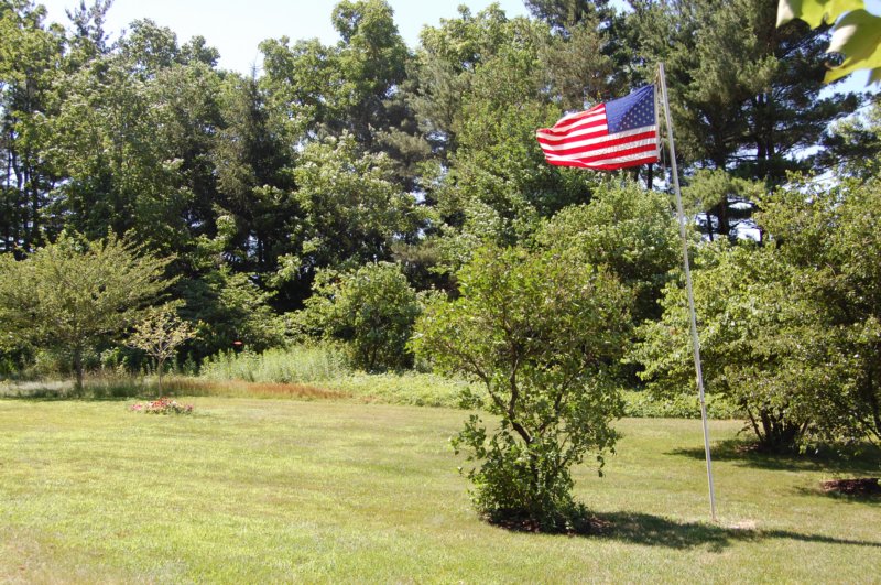 dsc_0260.jpg