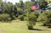 dsc_0260_small.jpg