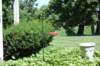 dsc_0268_small.jpg