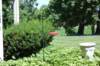 dsc_0269_small.jpg