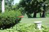 dsc_0270_small.jpg