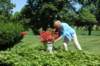 dsc_0276_small.jpg