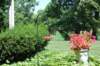 dsc_0280_small.jpg