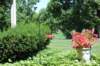 dsc_0281_small.jpg