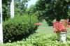 dsc_0283_small.jpg