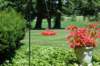 dsc_0289_small.jpg
