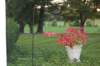 dsc_0300_small.jpg
