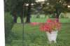 dsc_0301_small.jpg