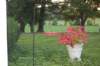 dsc_0302_small.jpg