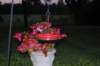 dsc_0308_small.jpg