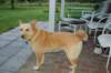 dsc_0327_small.jpg