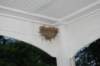 dsc_0330_small.jpg