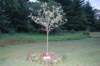 dsc_0334_small.jpg