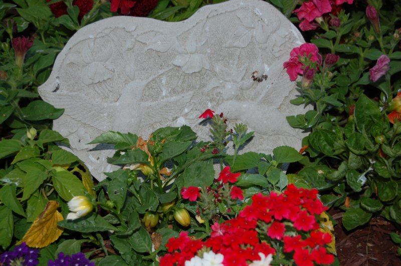 dsc_0337.jpg
