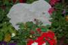 dsc_0337_small.jpg