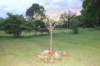 dsc_0344_small.jpg