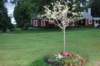 dsc_0348_small.jpg