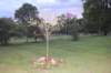 dsc_0351_small.jpg