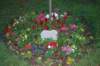 dsc_0356_small.jpg