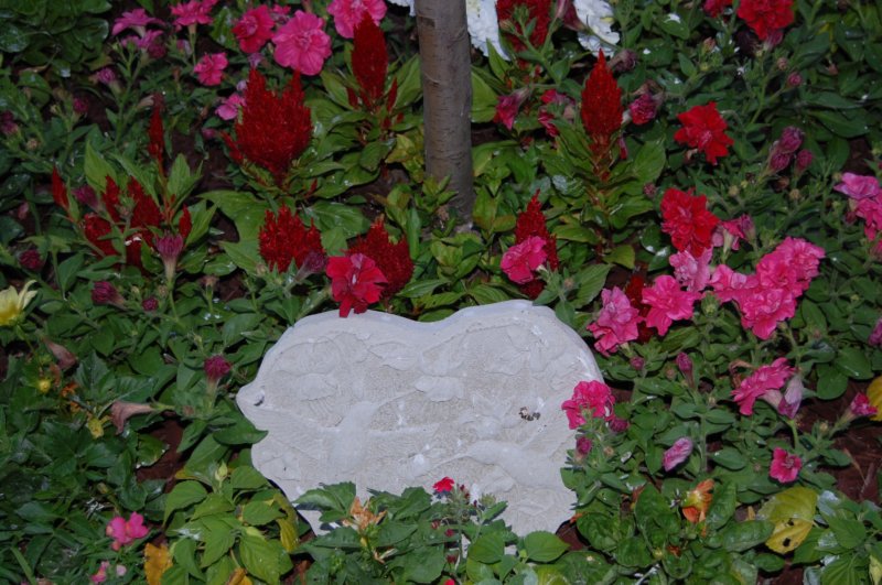 dsc_0357.jpg