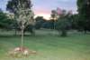 dsc_0370_small.jpg