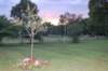 dsc_0373_small.jpg