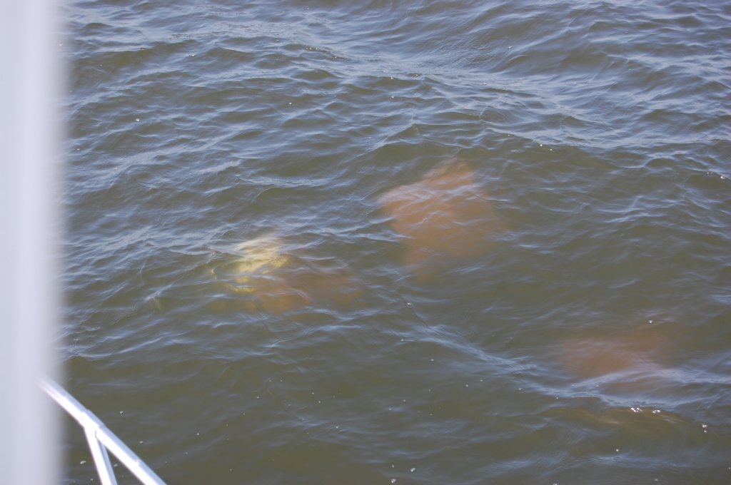 dsc_0005.jpg