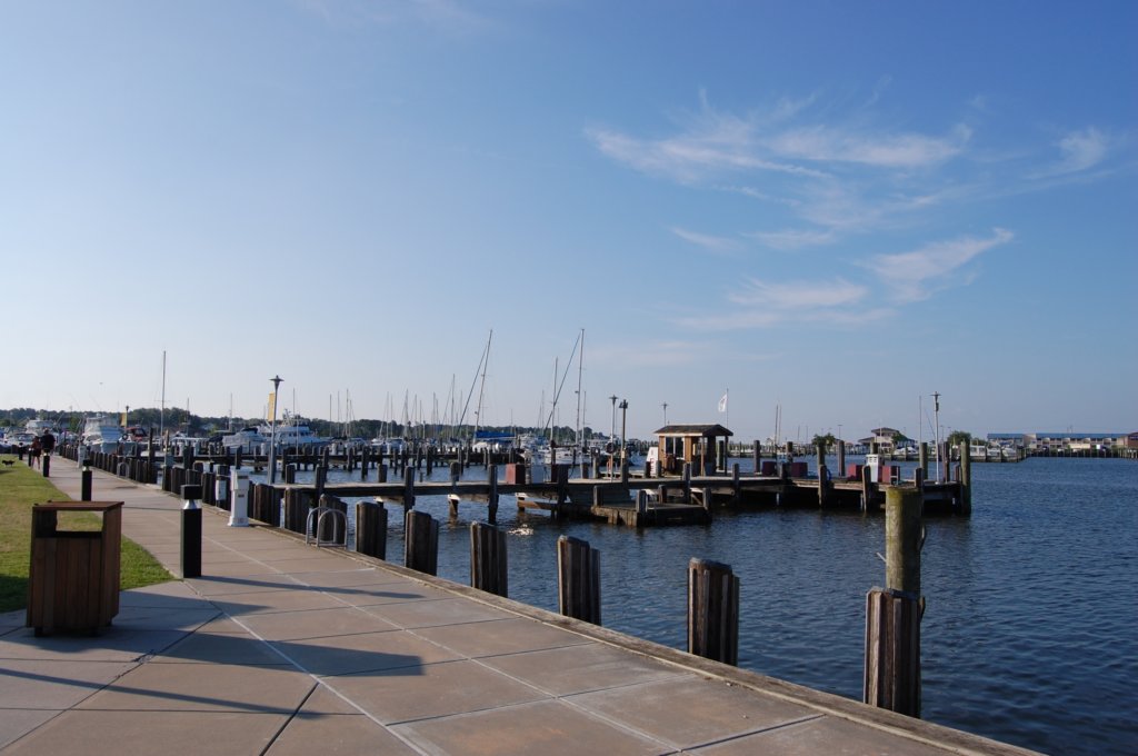 dsc_0033.jpg