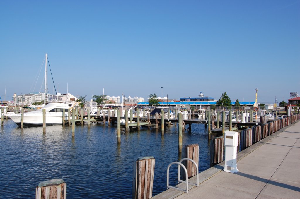 dsc_0037.jpg