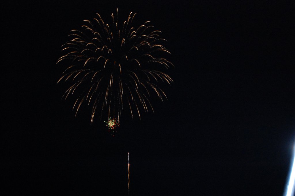 dsc_0153.jpg