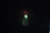 dsc_0159_small.jpg