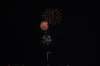 dsc_0168_small.jpg