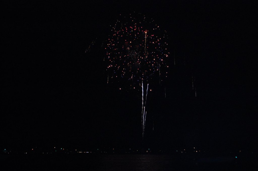 dsc_0169.jpg