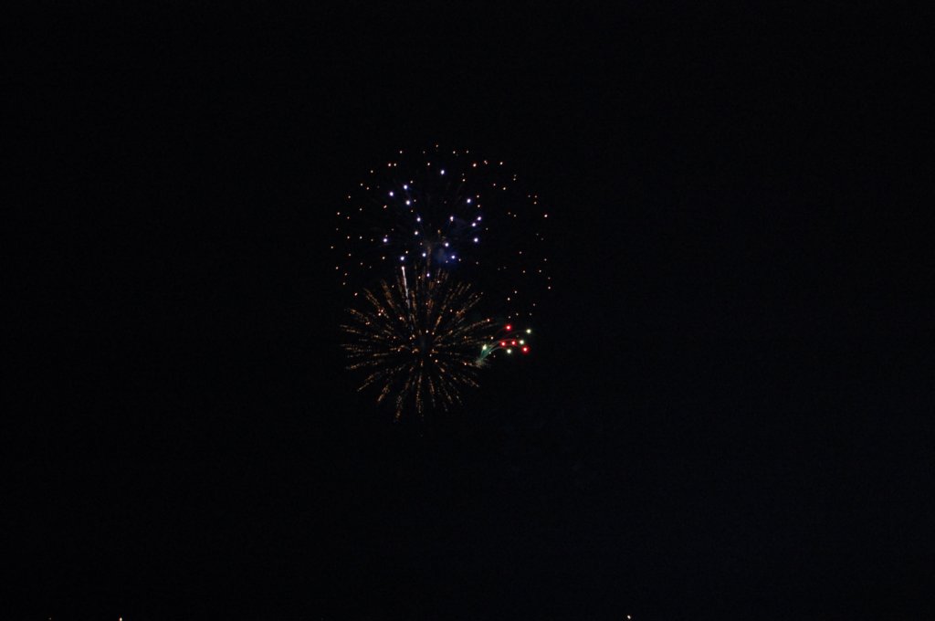 dsc_0172.jpg