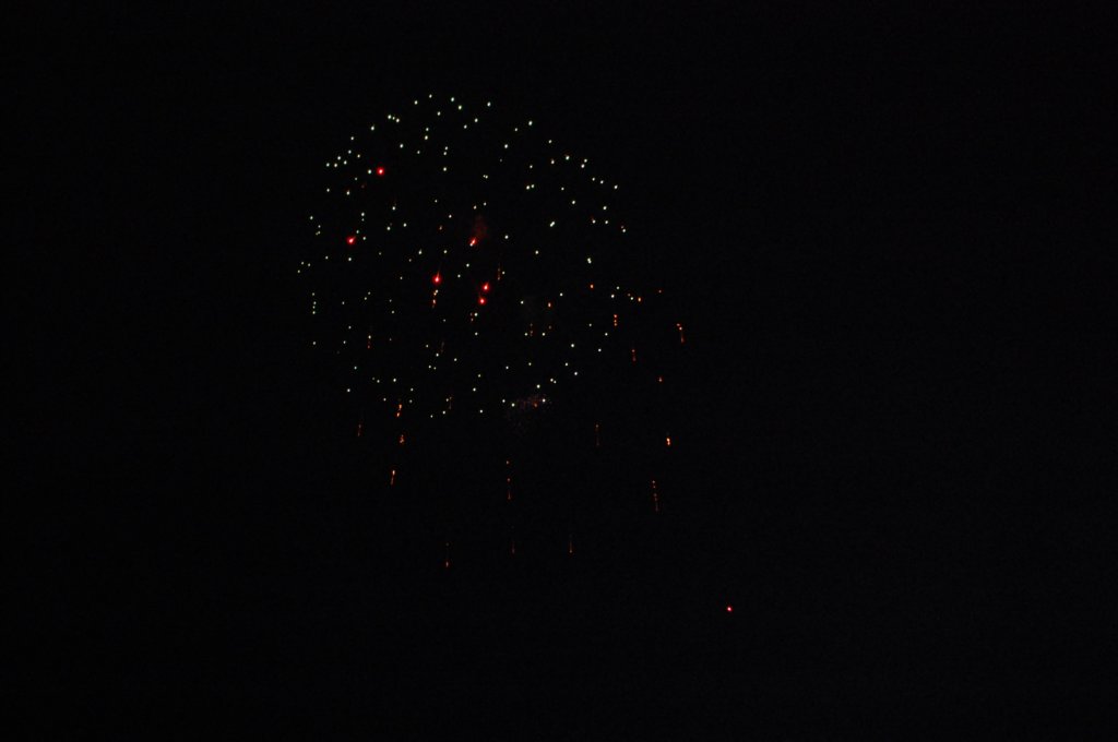 dsc_0173.jpg