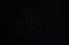 dsc_0185_small.jpg