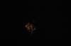 dsc_0190_small.jpg