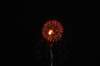 dsc_0195_small.jpg