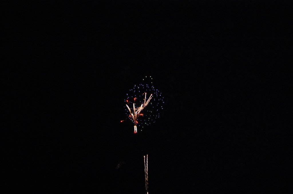 dsc_0199.jpg