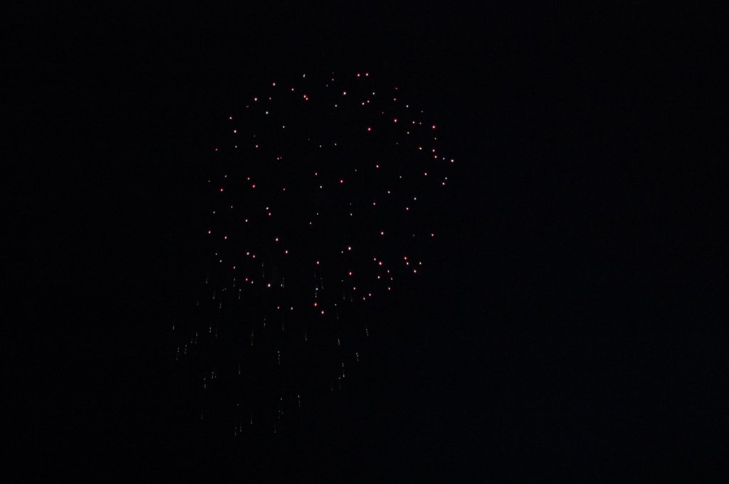 dsc_0202.jpg