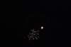 dsc_0218_small.jpg