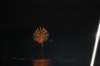 dsc_0228_small.jpg