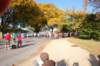 dsc_0129_small.jpg