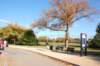 dsc_0140_small.jpg