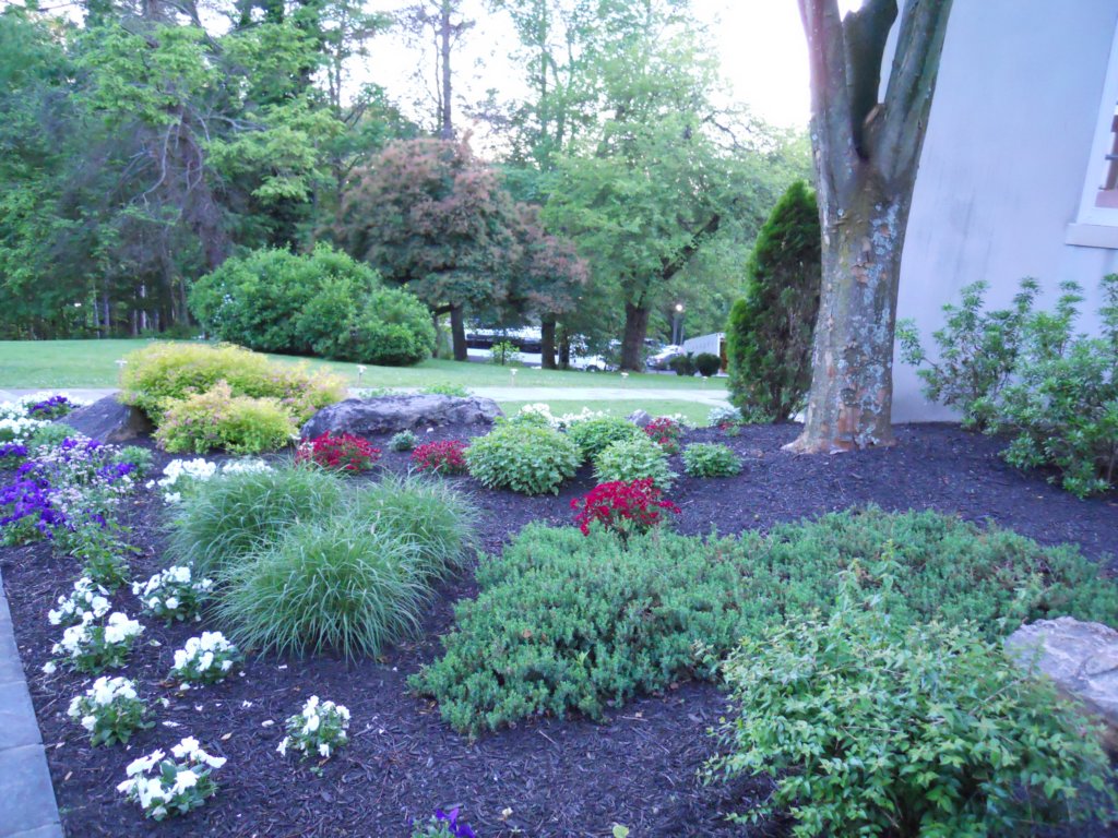 dscn0273.jpg