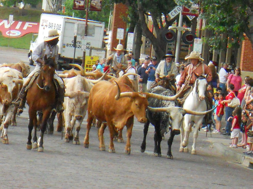 dscn0345.jpg