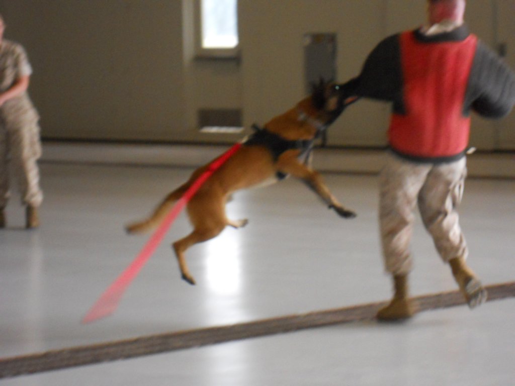 dscn0534.jpg